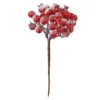Beeren-Bündel, rot