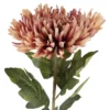 Chrysantheme Edel, altrosa, 76 cm