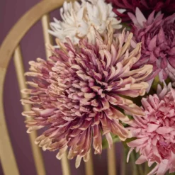 Chrysantheme Edel, altrosa, 76 cm
