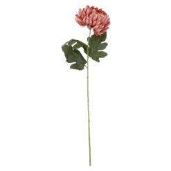 Chrysantheme, üppig/altrosa, 66 cm