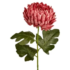 Chrysantheme, üppig/altrosa, 66 cm