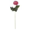 Chrysantheme, üppig/pink, 66 cm