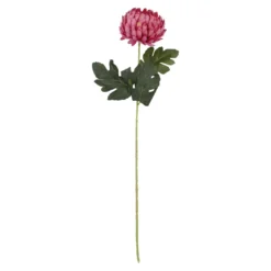 Chrysantheme, üppig/pink, 66 cm