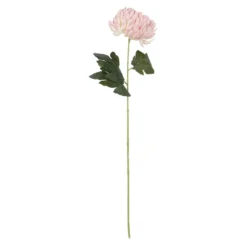 Chrysantheme, üppig/rosa, 66 cm