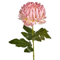Chrysantheme, üppig/rosa, 66 cm