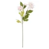 Dahlie Edel, 3 Blüten, rosa, 65 cm
