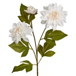 Dahlie Edel, 3 Blüten, weiß, 65 cm