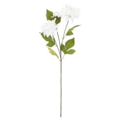 Dahlie Edel, 3 Blüten, weiß, 65 cm