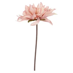 Dahlie Herbst, altrosa, 27 cm