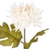 Dahlie Herbst, creme, 56 cm