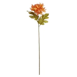 Dahlie Herbst, orange, 56 cm