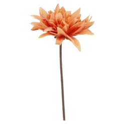 Dahlie Herbst, orange, 27 cm