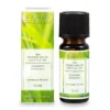 Duftöl Lemongras, 10 ml