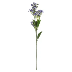 Flieder Edel, lila, 51 cm