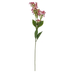 Flieder Edel, pink, 51 cm