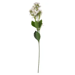 Flieder Edel, rosa, 51 cm