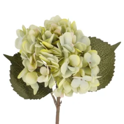Hortensie Herbst, grün, 46 cm