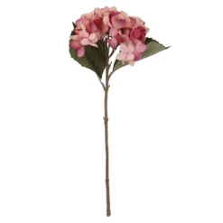 Hortensie Herbst, pink, 46 cm