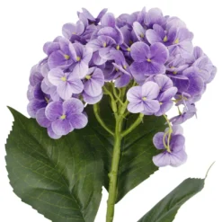 Hortensie Isabella, lila, 45 cm