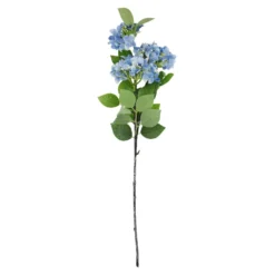 Hortensie Lily, blau, 55 cm
