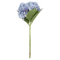 Hortensie Sophia, blau, 35 cm