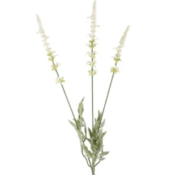 Lavendel, 3 Blüten, weiß, 66 cm