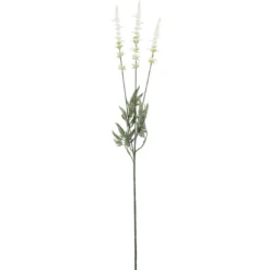 Lavendel, 3 Blüten, weiß, 66 cm
