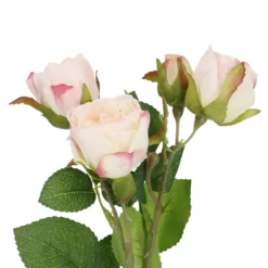 Rose Alina, 3 Blüten/rosa, 38 cm