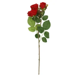 Rose Alina, 3 Blüten/rot, 38 cm