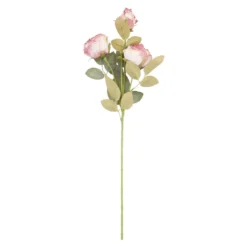 Rose Antik, 3 Blüten, creme/pink, 60 cm