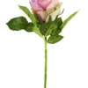 Rose, 30 cm, alt-rosa