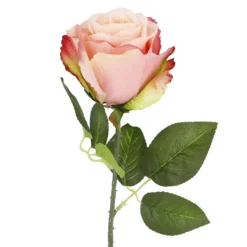 Rose Florence, pink, 51 cm