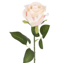 Rose Florence, rosa, 51 cm