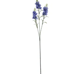 Schopflavendel, 3 Blüten, blau, 65 cm