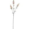 Schopflavendel, 3 Blüten, rosa, 65 cm