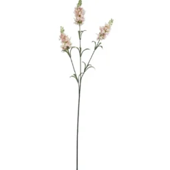 Schopflavendel, 3 Blüten, rosa, 65 cm