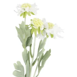 Skabiose, 3 Blüten, weiß, 48 cm