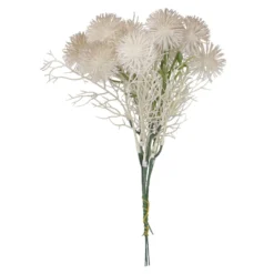 Strauß Minipompoms, creme, 24 cm