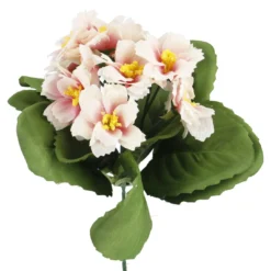 Strauß Primel, 12 Blüten, rosa, 20 cm