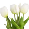 Strauß Tulpe, 5 Blüten, weiß, 30 cm