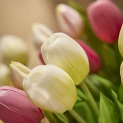 Strauß Tulpe, 5 Blüten, weiß, 30 cm