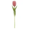 Tulpe Edel, Mini/rund/rosa, 25 cm