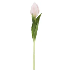 Tulpe Edel, Mini/spitz/hellrosa, 25 cm