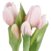 Tulpen im Topf, hellrosa, 25 cm