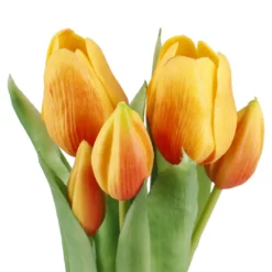 Tulpen im Topf, orange, 25 cm
