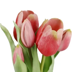 Tulpen im Topf, rosa, 25 cm