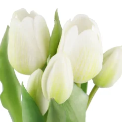 Tulpen im Topf, weiß, 25 cm