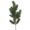 Zweig Edeltanne, 50 cm