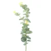 Zweig Eucalyptus, 60 cm
