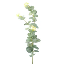 Zweig Eucalyptus, 60 cm